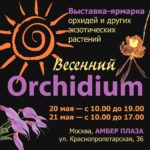Выставка ОРХИДИУМ-2023-весна!
