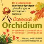 Выставка ОРХИДИУМ-2023-сентрябрь!