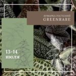 Ярмарка ЭКЗОТИЧЕСКИХ растений в GREEN STUDIO 13-14.07.2024